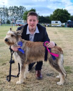Picardy Sheepdog / Berger Picard at Devon County Premier Open Show