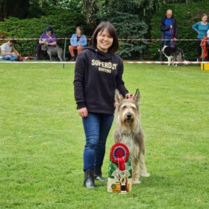Picardy Sheepdog / Berger Picard at Charney Manor Open Day Companion Show