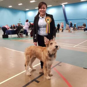 Picardy Sheepdog / Berger Picard Oxfordshire Canine Society Open Show
