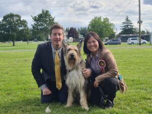 Picardy Sheepdog / Berger Picard at Horley & District Show Society Open Show
