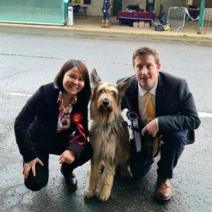 Picardy Sheepdog / Berger Picard at Crystal Palace Open Show