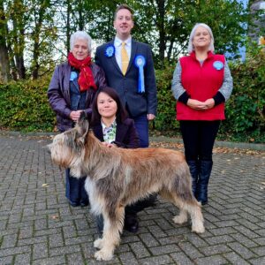 Picardy Sheepdog / Berger Picard at East Kent Open Show