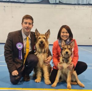 Picardy Sheepdog / Berger Picard at Coventry Ladies Kennel Society Open Show