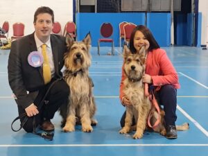 Picardy Sheepdog / Berger Picard at National Working & Pastoral Breeds Society Premier Open Show