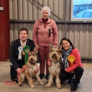 Picardy Sheepdog / Berger Picard at Newark & District Canine Society Open Show