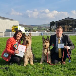 Picardy Sheepdog / Berger Picard at Working & Pastoral Breeds Association of Wales Championship Show