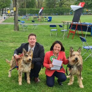 Picardy Sheepdog / Berger Picard