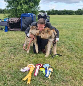 Picardy Sheepdog / Berger Picard at Ashfield (Notts) Canine Society Premier Open Show