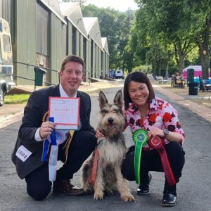 Picardy Sheepdog / Berger Picard at National Working & Pastoral Breeds Society Championship Show
